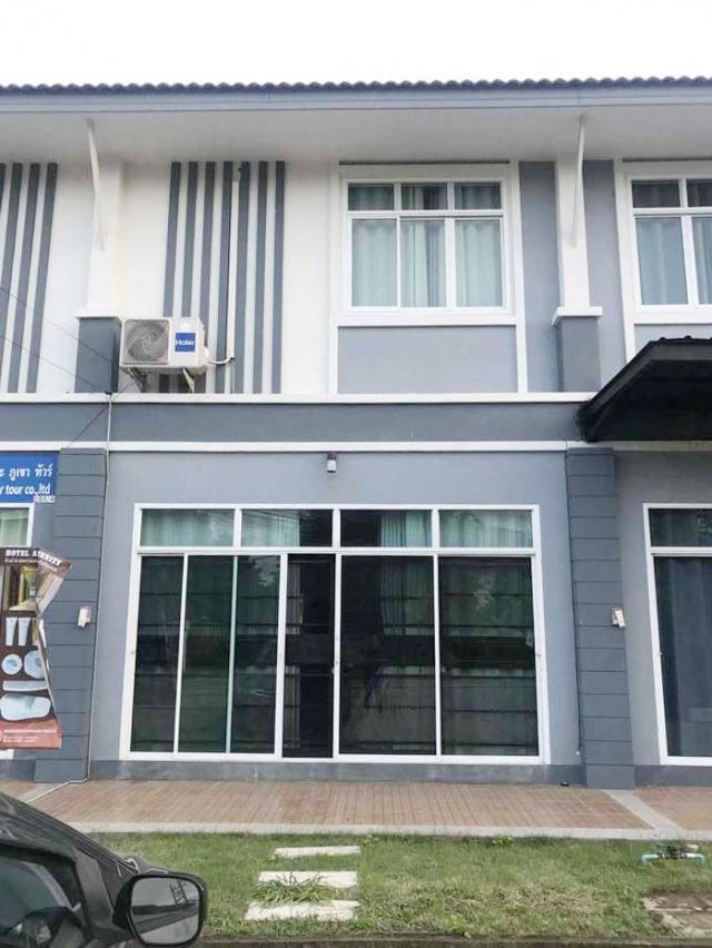 �Ҥ�þҳԪ�������� ��§����