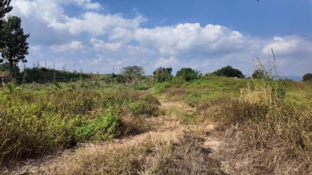 ��·��Թ ����Ӿٹ