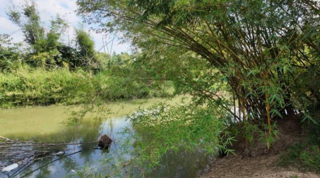 ��·��Թ ����Ӿٹ