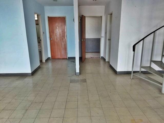 ��¤͹� �͹���ͧ��ا෾