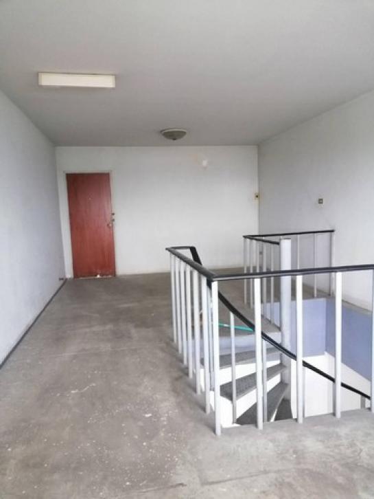 ��¤͹� �͹���ͧ