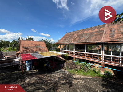 ���Թ��������Թ �ź���