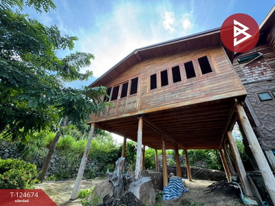 ���Թ�ź��� �ź���