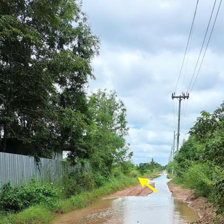 ���Թ 21 ���