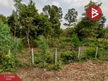 ที่ดิน 5 ไร่ ที่ดิน 5 ไร่