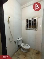 ⡴ѧ 113 ���ҧ��