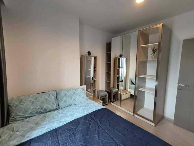 �Ҫ��� �� Asset X Property