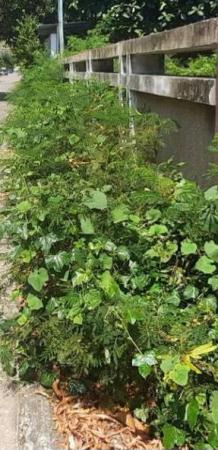 ��·��ԹBTS���