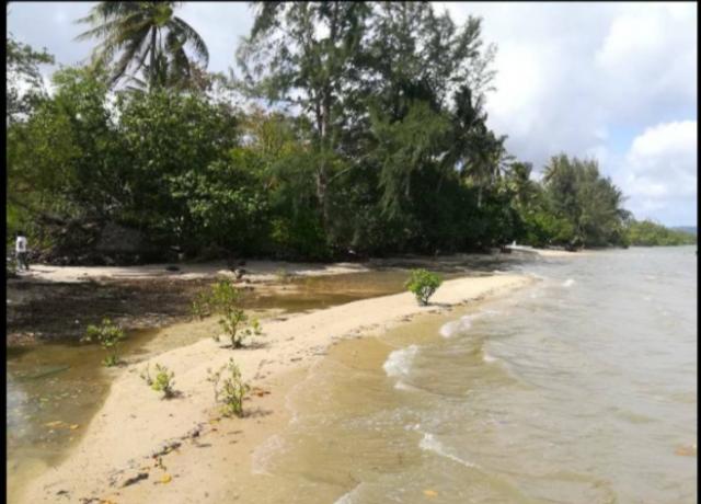 ���Թ��ҧ ����