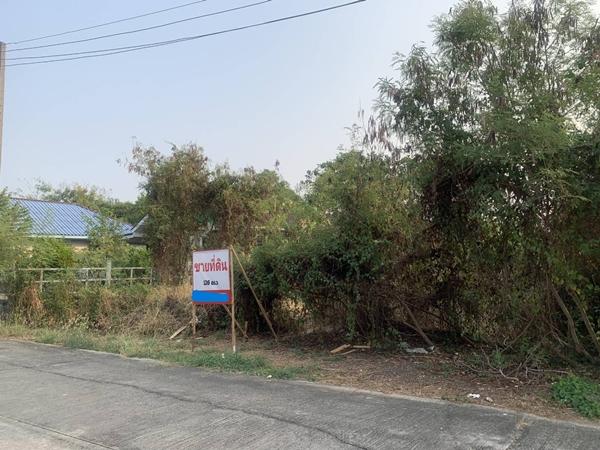 ���Թ ˹�ҵԴ���