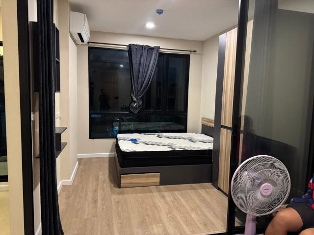 �͹������� ������