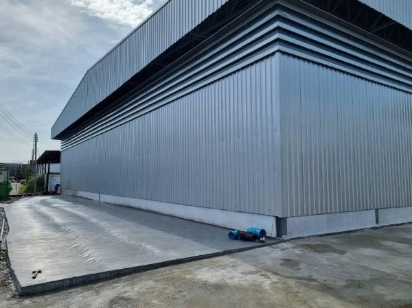 ⡴ѧ ��ͧ�����