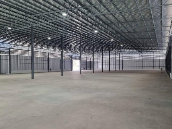 ⡴ѧ������ ��ͧ����ҡ�ا෾