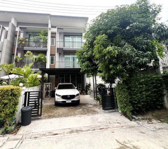 �ҧ�ع��¹ �� Nuttapong