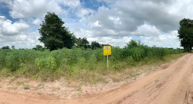 ��·��Թ 600,000 �ҷ