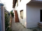 ;�����鹷� ������
