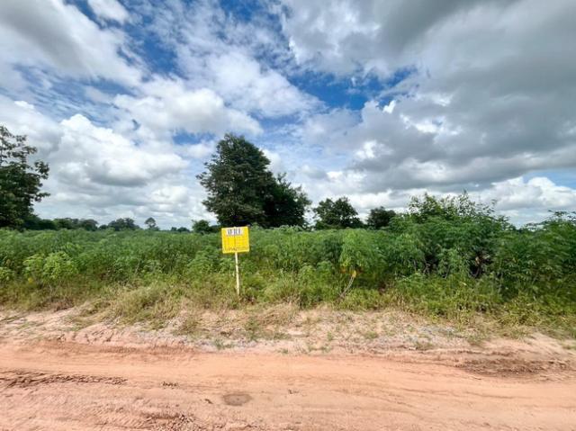 ���Թ 21 ���