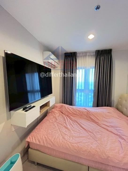 ��¤͹� �ҧ�˭蹹�����