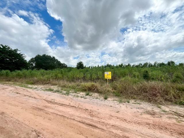 ขายที่ดิน เมือง 14 ไร่ ขายที่ดิน เมือง 14 ไร่