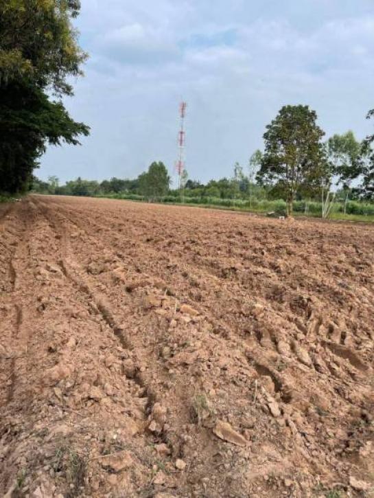 ��·��Թ ���ͧ������Ԫ������