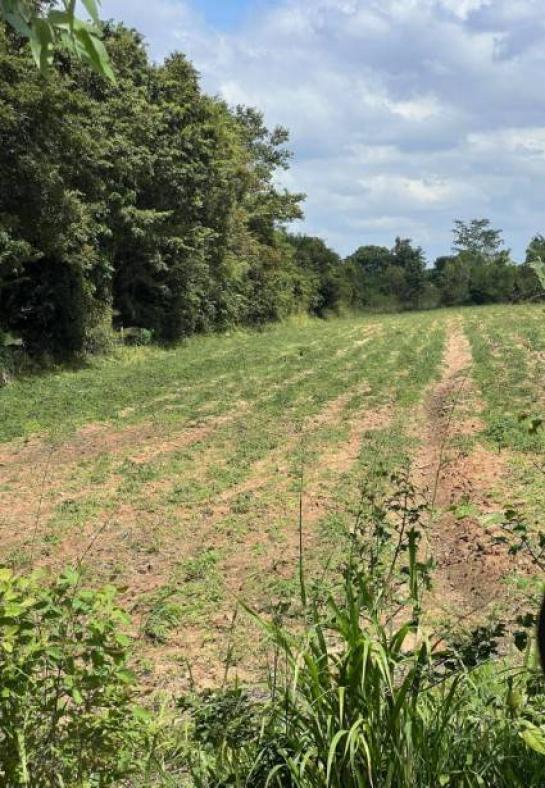 ��·��Թ ���ͧ������Ԫ������