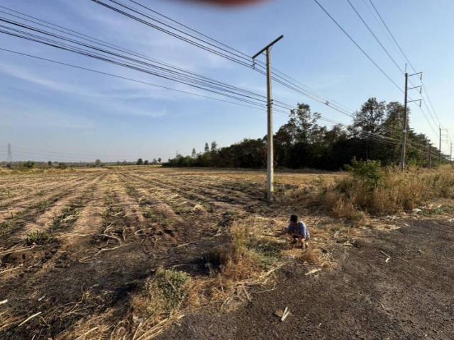 ��·��Թ �͹���ä�������