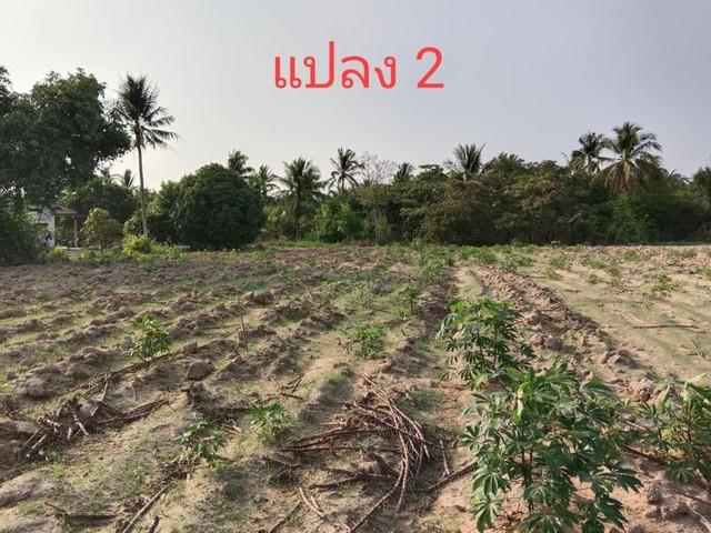 �ź��� �� ataproperty22