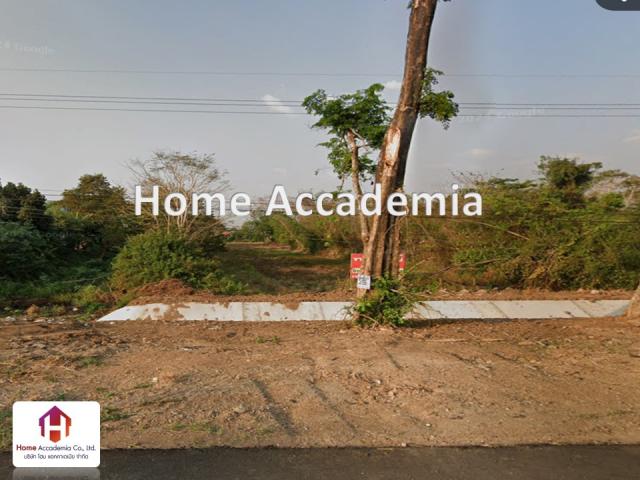 ที่ดิน 19 ไร่ ที่ดิน 19 ไร่