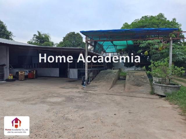 ที่ดิน 5 ไร่ ที่ดิน 5 ไร่