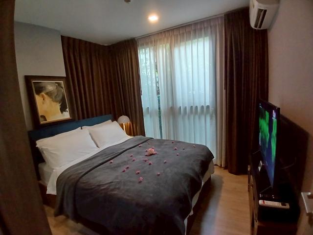 ���⢹� �� easythaihome