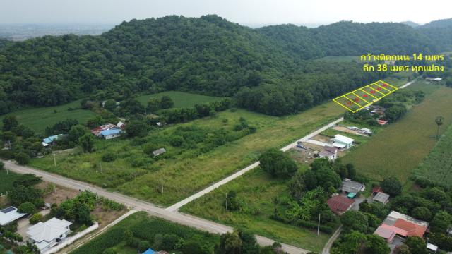 ���Թ ž����