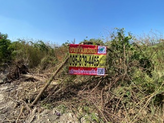 ที่ดิน ติดถนนคอนกรีต นนทบุรี ที่ดิน ติดถนนคอนกรีต นนทบุรี