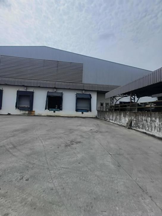 �Ԥ��Ѳ�� �� goodlada24