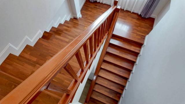 ��ҹ��е����� ��§����