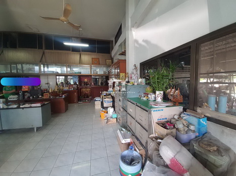 ����ç�ҹ �ҧ�ع��¹