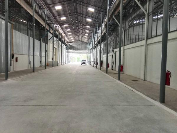 ⡴ѧ������ �ѹ����ǡ�ا෾