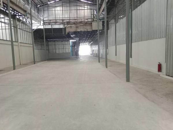 ⡴ѧ������ �ѹ����ǡ�ا෾