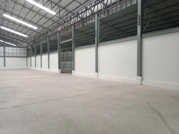 ⡴ѧ������ �ѹ����ǡ�ا෾