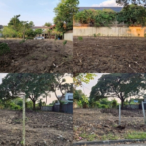 �����Һҧ� �� All Living