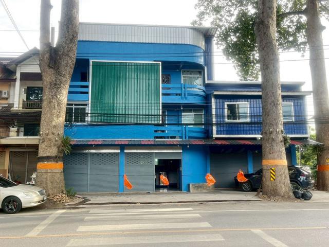 �Ҥ�þҳԪ�������� ��§����