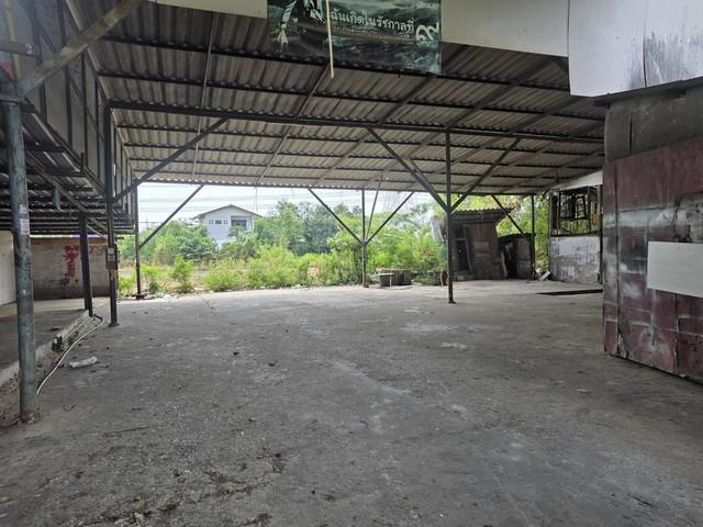 ⡴ѧ������ ��ͧ����ҡ�ا෾