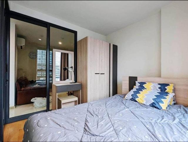 ⡴ѧ ������¹��