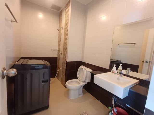 �Ң�ѭ �Ź�����