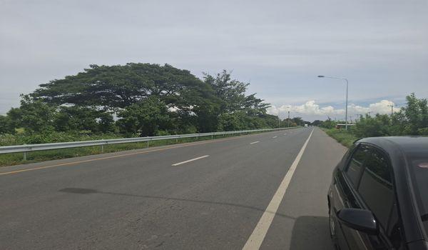 ���Թ 42 ���