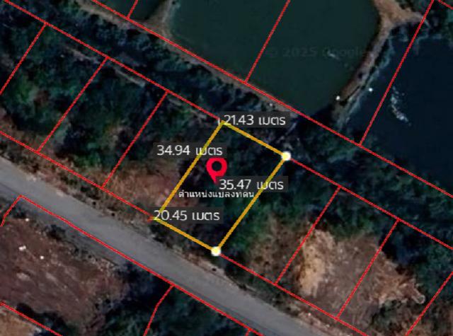 ���Թ �����