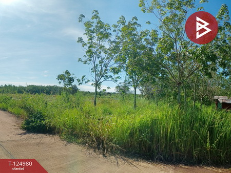 ���ͧ �� The Best Property Agent