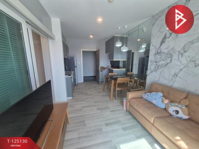 �͹� ����������