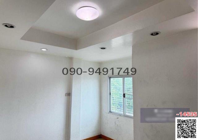 �Ҥ�þҳԪ�������� �ѹ�����