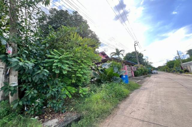 ��·��Թ �ҧ�