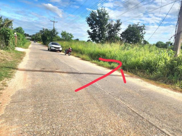 ���Թ �Դ����͹��յ 389 ���ҧ��